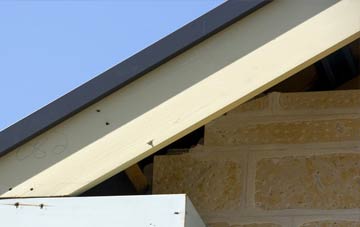 Falkirk fascia repairs