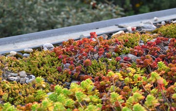 the cost of Falkirk green roof installation