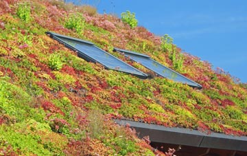 Falkirk living roof systems