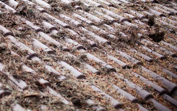 Falkirk roof cleaning companies