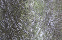 Falkirk fibreglass roof work